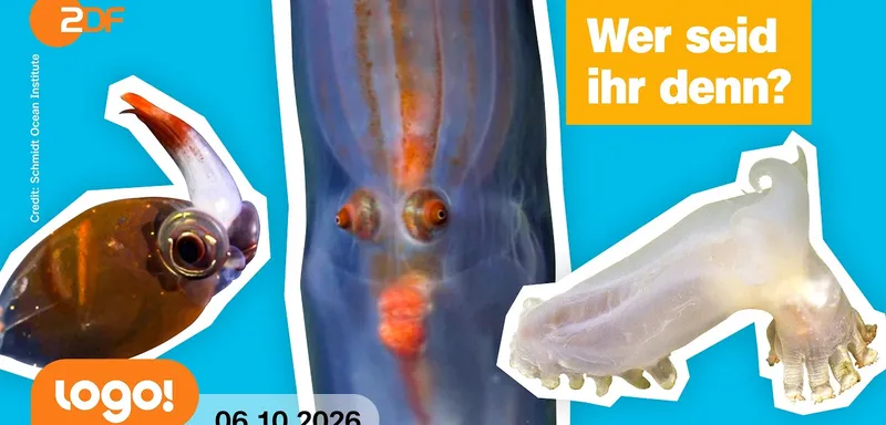 57 neue Tierarten wurden im Meer vor Argentinien entdeckt! | logo!-Nachrichten vom 06.10.26