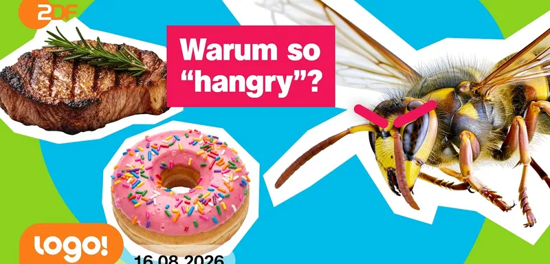 Wespenalarm: deshalb haben sie Bock auf unser Essen | logo!-Nachrichten vom 16.08.26