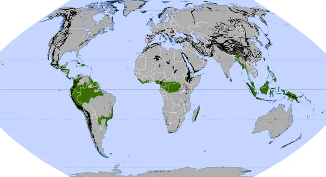 Die globale Verteilung der immerfeuchten Tropen (nach J. Schultz)