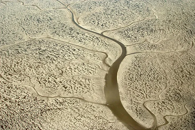 Luftaufnahme eines Priels mit Seitenarmen bei Ebbe im Niedersächsischen Wattenmeer.