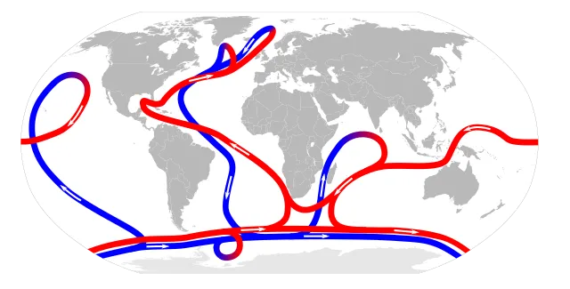 Diese Karte zeigt das Muster der meridionale Umwälzzirkulation. Diese Ansammlung von Strömungen ist für den großflächigen Austausch von Wassermassen im Ozean verantwortlich, einschließlich der Versorgung der Tiefsee mit Sauerstoff.