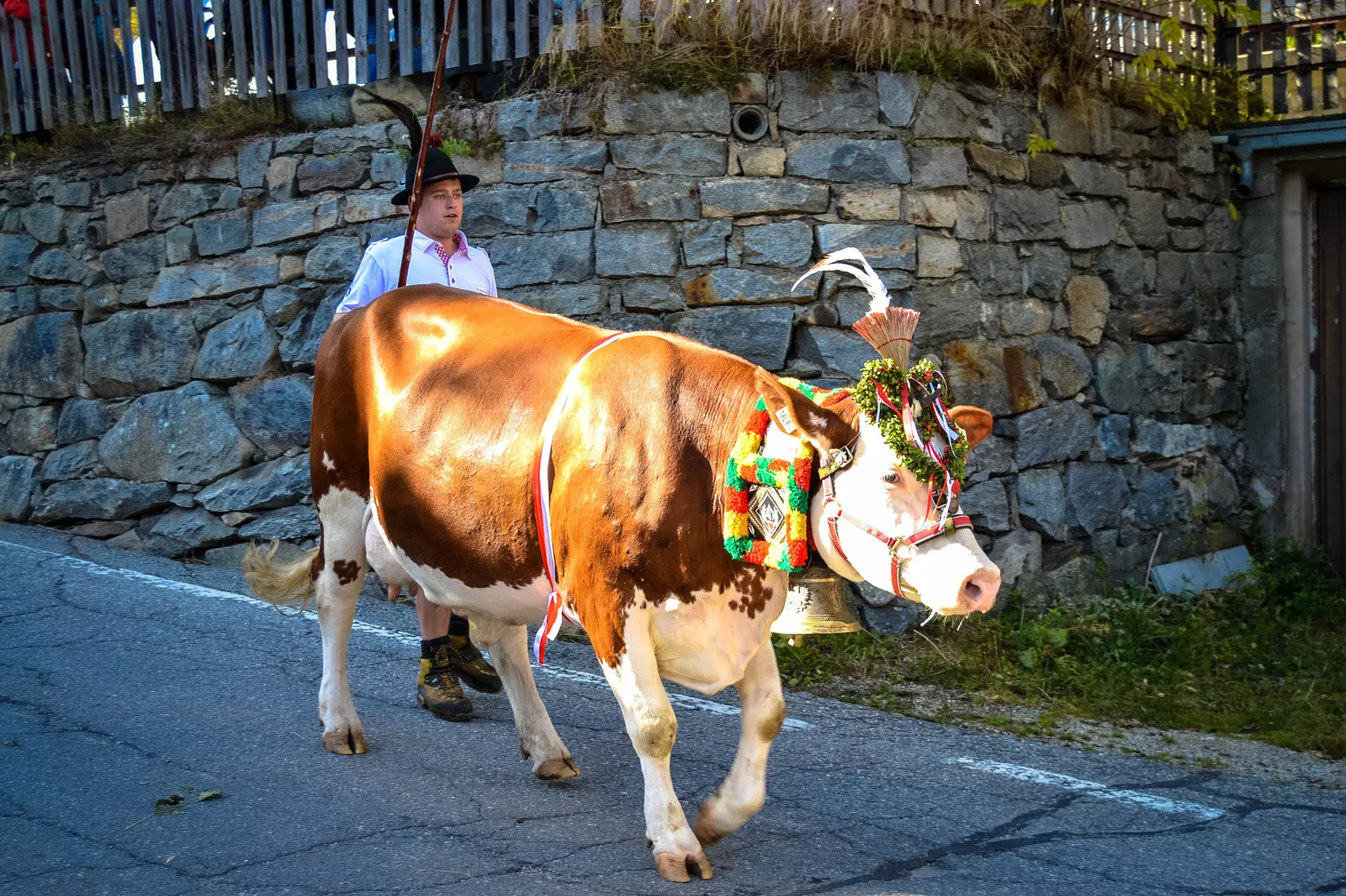 Geschmückte Kranzkuh beim Almabtrieb