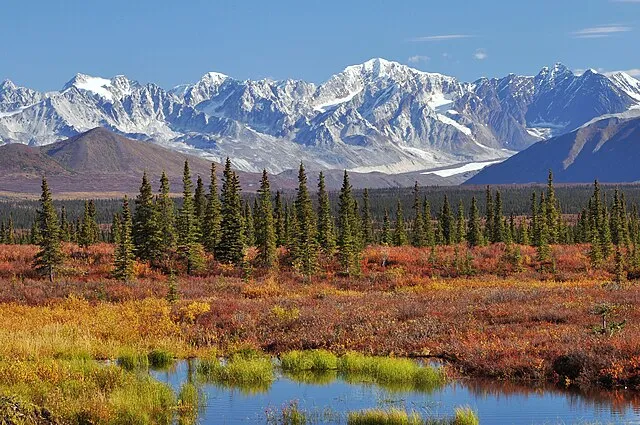 Im Vordergrund ein azonales Feuchtbiotop, im Mittelgrund die zonale Taiga und im Hintergrund extrazonale Tundra und Felsregion der Alaska Range