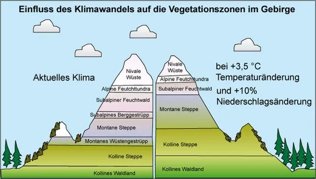Veränderung der Höhenstufen in ariden Gebirgen bei 3,5 °C Temperaturanstieg und 10 % Niederschlagszunahme