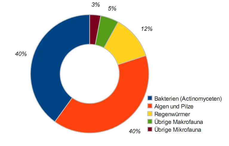 Zusammensetzung der Bodenlebewesen.