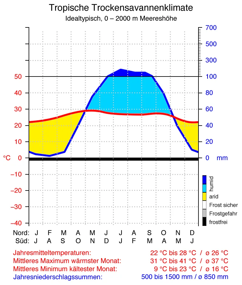 Idealtypisches Klimadiagramm für Trockensavannen