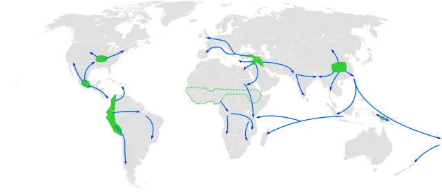 Die Karte zeigt die ungefähren Entstehungsgebiete der Landwirtschaft nach Diamond und Bellwood: Fruchtbarer Halbmond (9500 v. Chr.), China (7000 v. Chr.), Neuguinea (7000–6000 v. Chr.), Mexiko (3000–2000 v. Chr.), Südamerika (3000–2000 v. Chr.), Afrika südlich der Sahara (3000–2000 v. Chr., das genaue Gebiet ist unbekannt), Nordamerika (2000–1000 v. Chr.).[5]