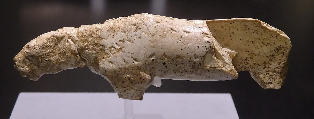 Löwe/Leopard aus Mammutelfenbein, 40.000 bis 30.000 Jahre alt, Vogelherd-Höhle, Baden-Württemberg