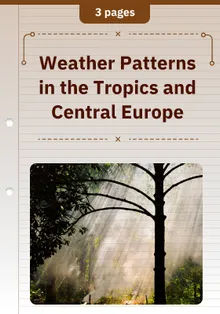 Weather Patterns in the Tropics and Central Europe