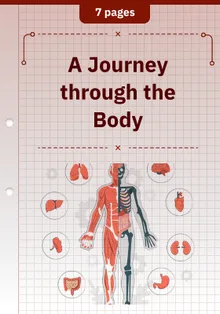A Journey through the Body