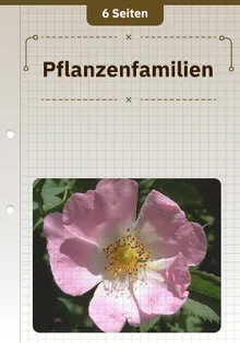 Pflanzenfamilien