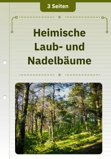 Heimische Laub- und Nadelbäume 