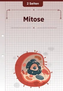 Mitose