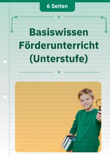 Basiswissen Förderunterricht (Unterstufe)