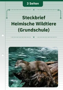 Steckbrief Heimische Wildtiere (Grundschule)