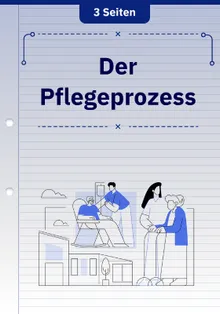 Der Pflegeprozess