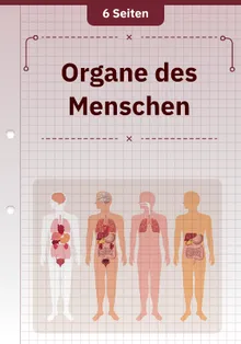 Organe des Menschen