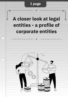 A closer look at legal entities - a profile of corporate entities