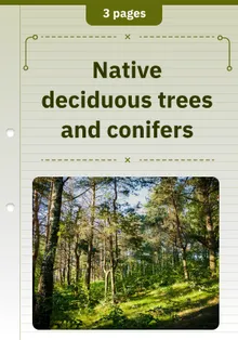 Native deciduous trees and conifers