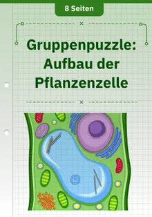 Gruppenpuzzle: Aufbau der Pflanzenzelle