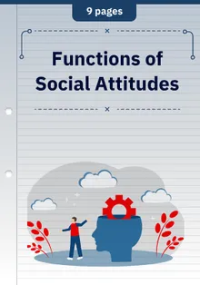 Functions of Social Attitudes