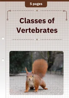 Classes of Vertebrates