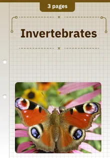 Invertebrates