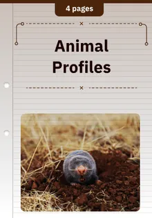 Animal Profiles (Englisch - A2)