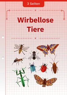 Wirbellose Tiere