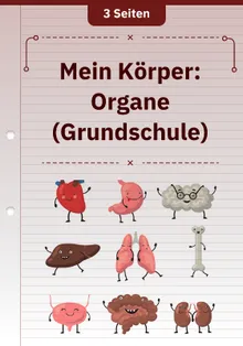 Mein Körper: Organe (Grundschule)