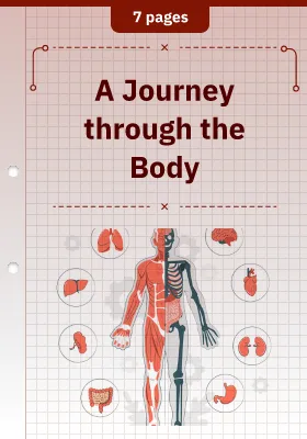 A Journey through the Body