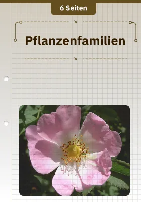Pflanzenfamilien