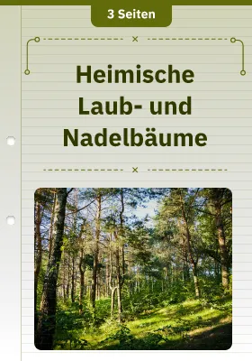 Heimische Laub- und Nadelbäume 