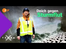 Wie schützen wir unsere Küsten? | Terra X plus