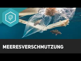 Meeresverschmutzung