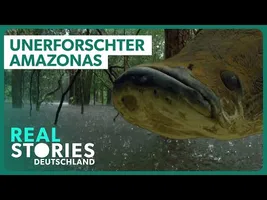 Doku: Geheimnisse im Amazonas Regenwald | Real Stories Deutschland
