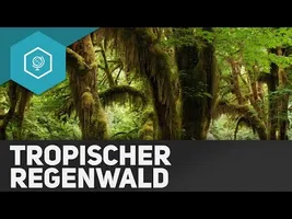 Der Tropische Regenwald - Die Tropen II - Klimazonen 2