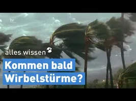 Die Folgen der Meereserwärmung | alles wissen