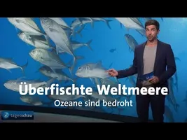 #gutzuwissen: Leere Meere - Wie bedroht sind Fischbestände?