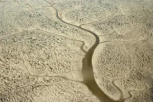 Luftaufnahme eines Priels mit Seitenarmen bei Ebbe im Niedersächsischen Wattenmeer.
