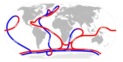 Diese Karte zeigt das Muster der meridionale Umwälzzirkulation. Diese Ansammlung von Strömungen ist für den großflächigen Austausch von Wassermassen im Ozean verantwortlich, einschließlich der Versorgung der Tiefsee mit Sauerstoff.