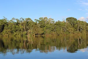 Amazonas-Regenwald in Brasilien