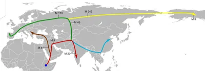 Theorie der Ausbreitung des Menschen in der zweiten Siedlungswelle ab etwa 50.000 Jahren vor heute