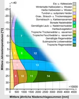 Stark idealisierte Darstellung der wichtigsten terrestrischen Pflanzenformationen in Bezug zu Temperatur und Niederschlag (vergleiche die „klassische“ Grafik nach Dansereau und Whittaker)