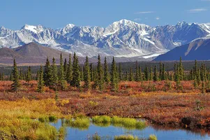 Im Vordergrund ein azonales Feuchtbiotop, im Mittelgrund die zonale Taiga und im Hintergrund extrazonale Tundra und Felsregion der Alaska Range