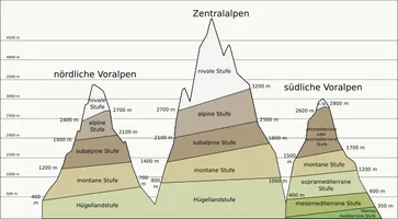 Höhenstufengliederung der Alpen