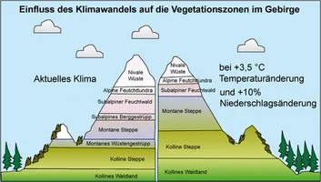 Veränderung der Höhenstufen in ariden Gebirgen bei 3,5 °C Temperaturanstieg und 10 % Niederschlagszunahme