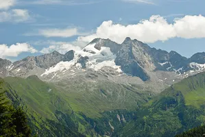 Höhenstufen der Vegetation an einem Berg in den Alpen (Olperer): von unten nach oben: hochmontane, subalpine, alpine, subnivale und nivale Stufe.