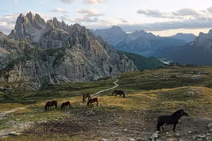 Alpine Höhenstufe an den Drei Zinnen in den Dolomiten