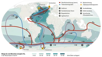Das globale Förderband – wie die Ozeane das CO2 speichern: Die CO2-Speicherung wird durch die großen Meeresströmungen möglich gemacht: Wie Transportbänder führen sie warmes Wasser an der Meeresoberfläche aus den Tropen in Richtung der Pole. Auf seinem Weg fort vom Äquator kühlt sich das Wasser langsam ab und wird durch Verdunstung salzhaltiger. Wasser ist umso schwerer, je salziger und kälter es ist – im Nordatlantik in der Grönlandsee A und der Labradorsee B und in der Antarktis im Rossmeer C und im Weddellmeer D erhöht sich durch die Eisbildung der Salzgehalt des umgebenden Wassers. Dieses schwere Oberflächenwasser sinkt in die Tiefsee hinab – und mit ihm das CO2. Dort unten strömt das CO2-reiche Wasser dann wieder in Richtung der Tropen. Auf dem Weg durch die Tiefsee vermischen sich die kalten Wassermassen langsam mit darüberliegenden wärmeren Schichten und steigen – sehr langsam – wieder auf.Quelle: Meeresatlas 2017[31]